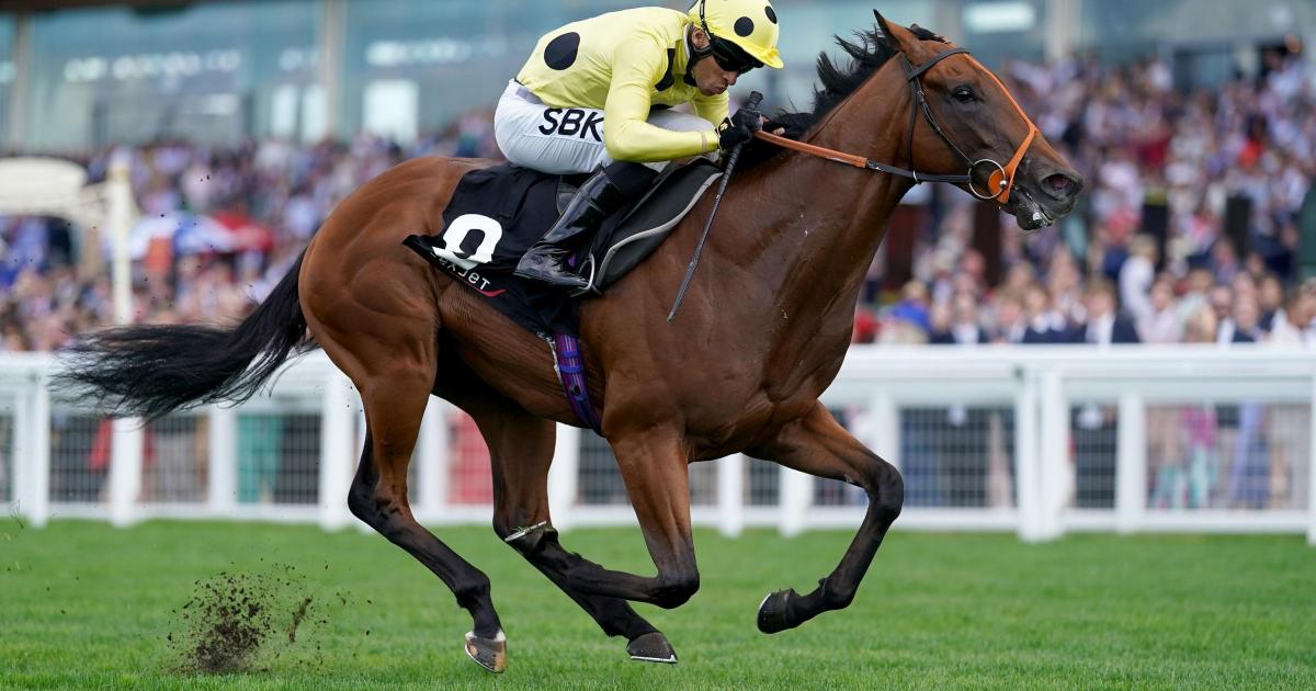 Rosallion ready to face Prix du Moulin challenge