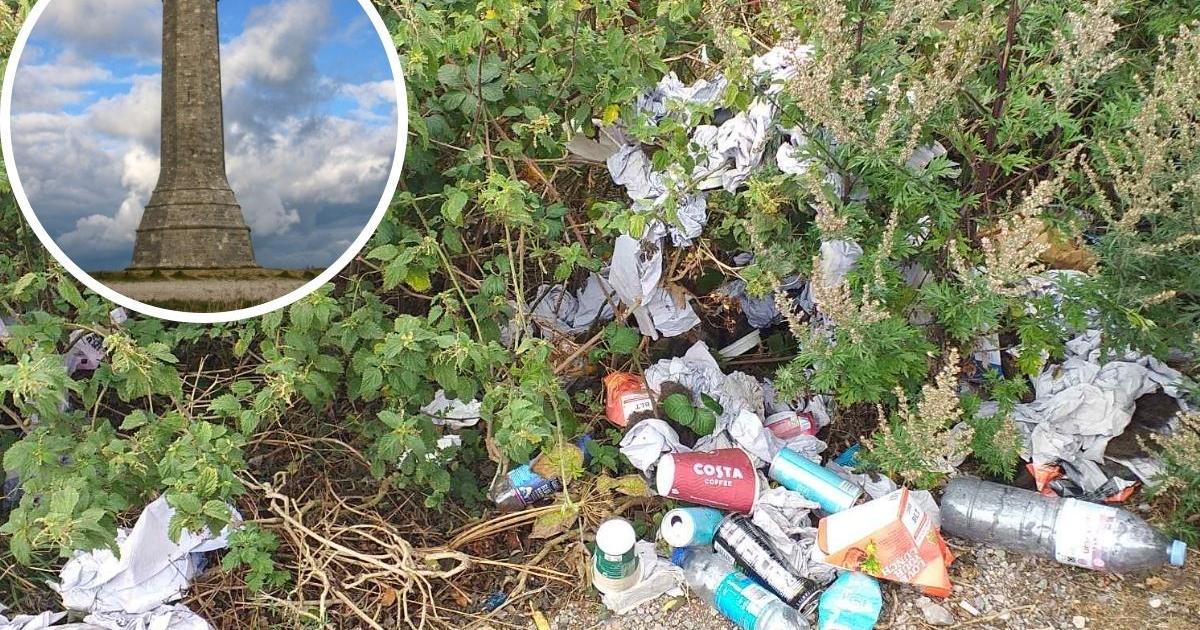 Fly-tipped waste dumped at Dorset beauty spot