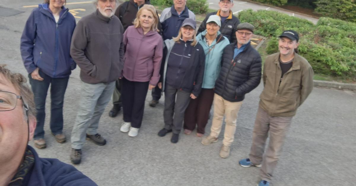 Rare bats spotted in Warrington by Friends of Gorse Covert Mounds