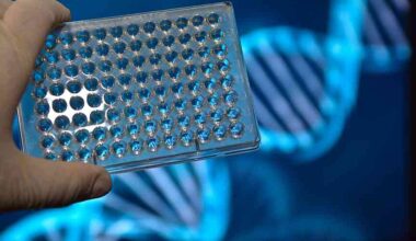 Genetic testing isn’t common in adults: New study shows it should be