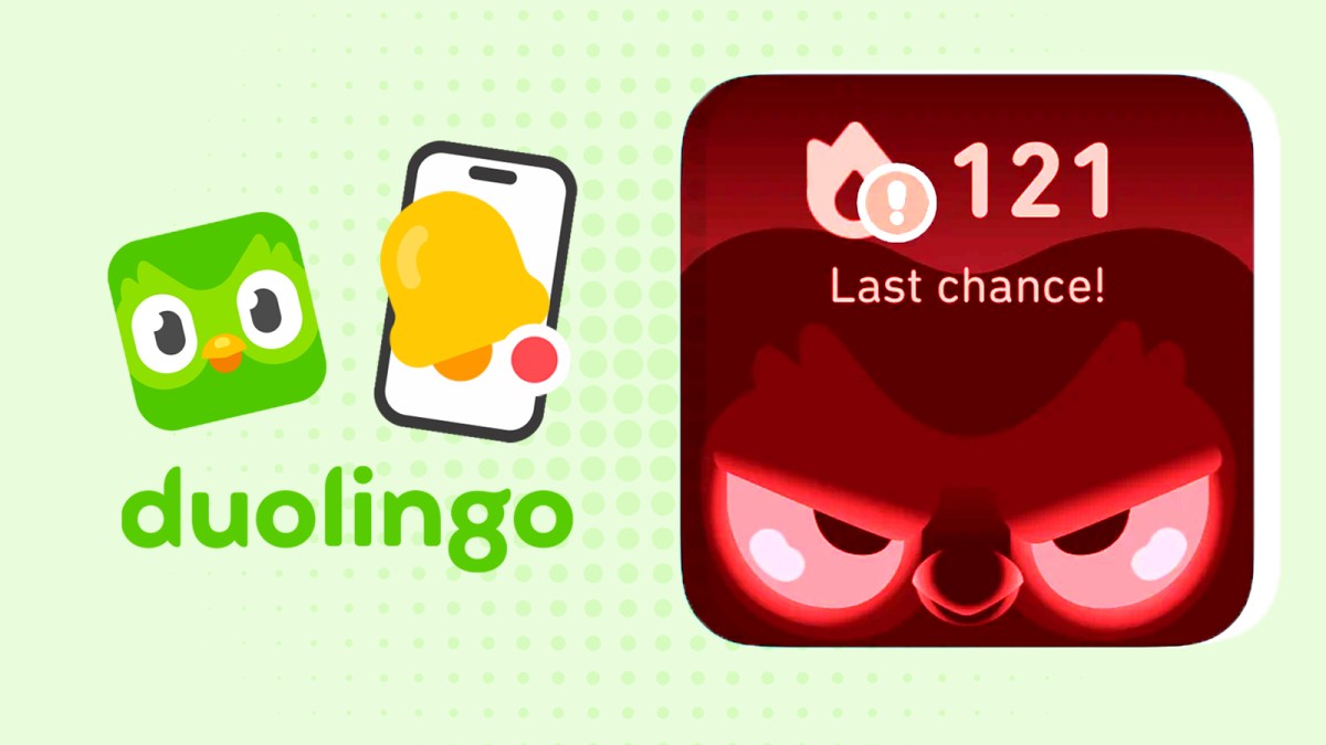 Duo the owl helps language app Duolingo soar in popularity