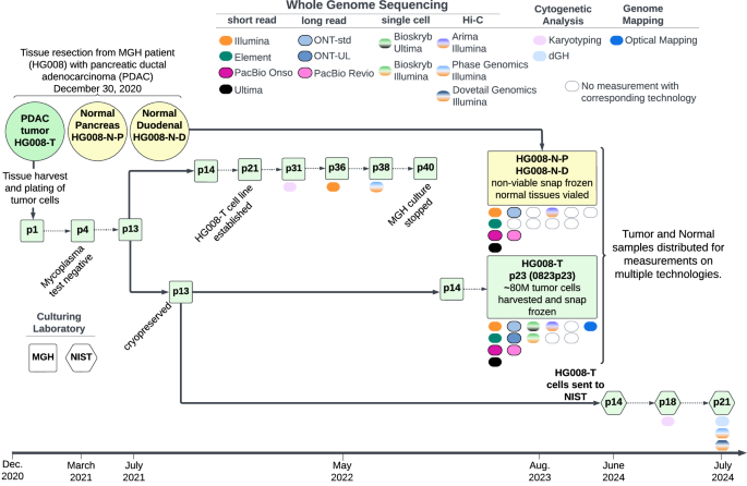 Development and extensive sequencing of a broadly-consented Genome in a Bottle matched tumor-normal pair