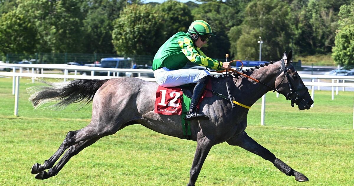 Billie Frechette should take plenty beating in Ulster Cesarewitch 