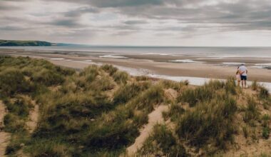 Best places in Wales to spot autumn wildlife revealed