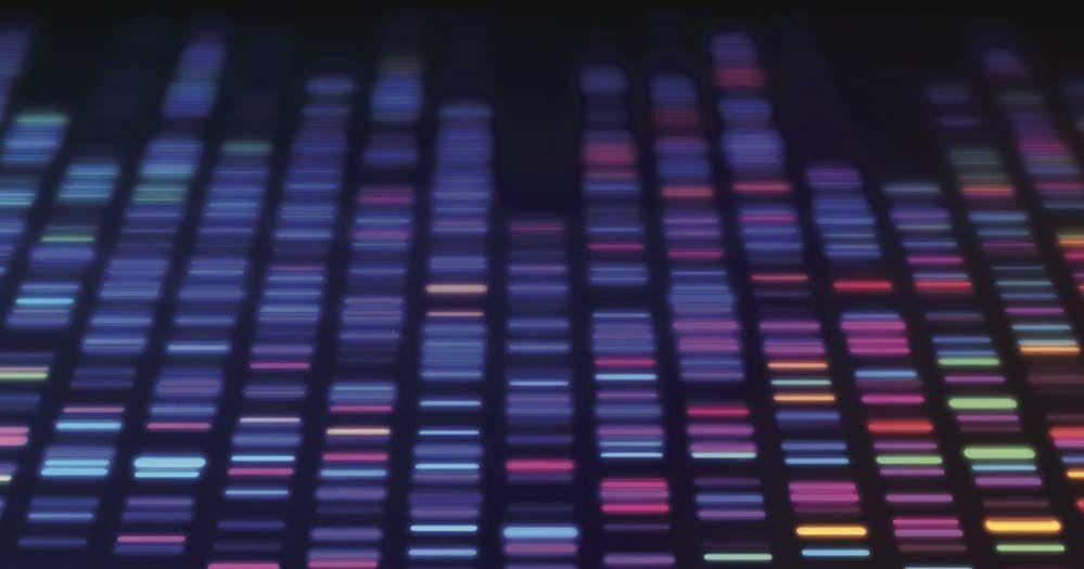 How MUSC is changing the future of health in South Carolina