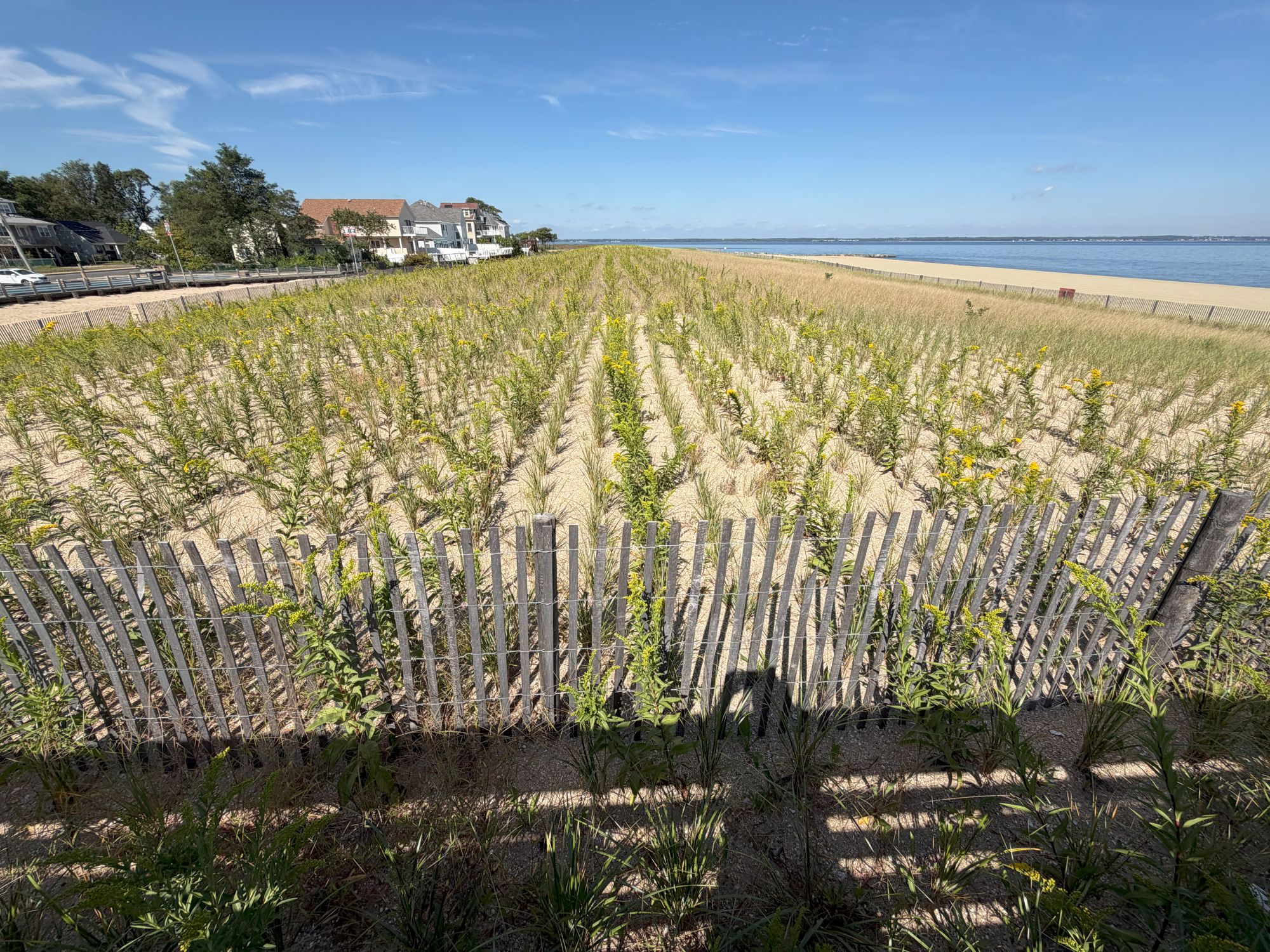 Apple iPhone 17 Pro Max ultrawide sample.