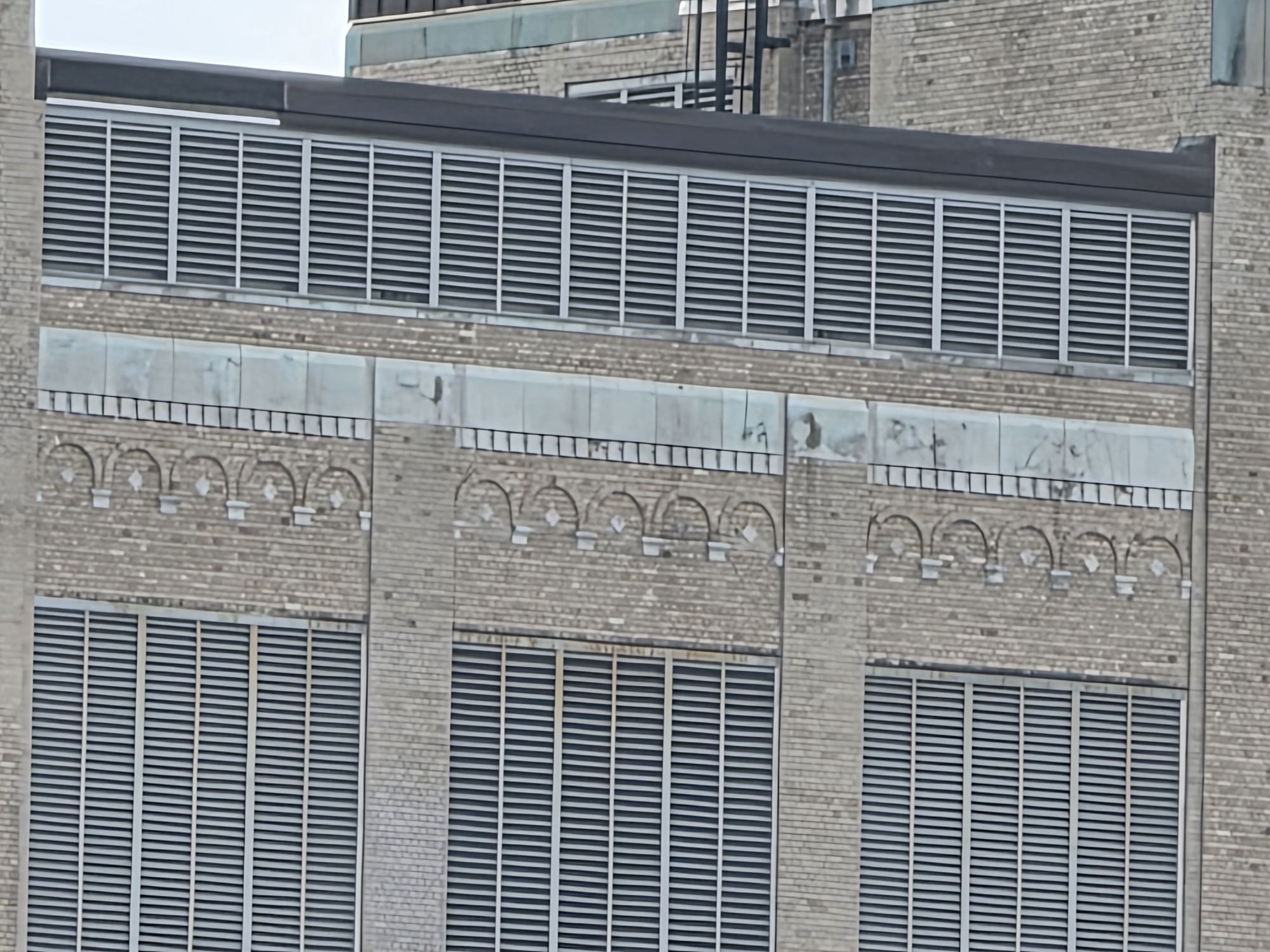 Samsung Galaxy S25 Ultra zoom sample.