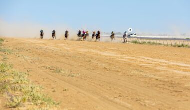 A thousand miles away - King Island to Birdsville via Betoota