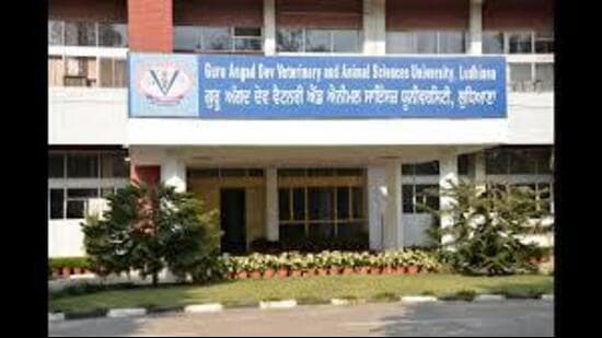 During the programme, varied food sources of good fat, complex carbs, quality protein and protective foods were showcased by emphasising their nutritive value. (HT Photo for representation)