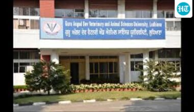 Ludhiana: Nutrition awareness camp organised at vet varsity