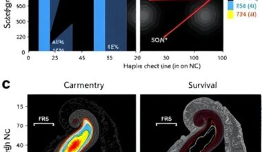 Epigenetic Links to Severity and Survival in NEC