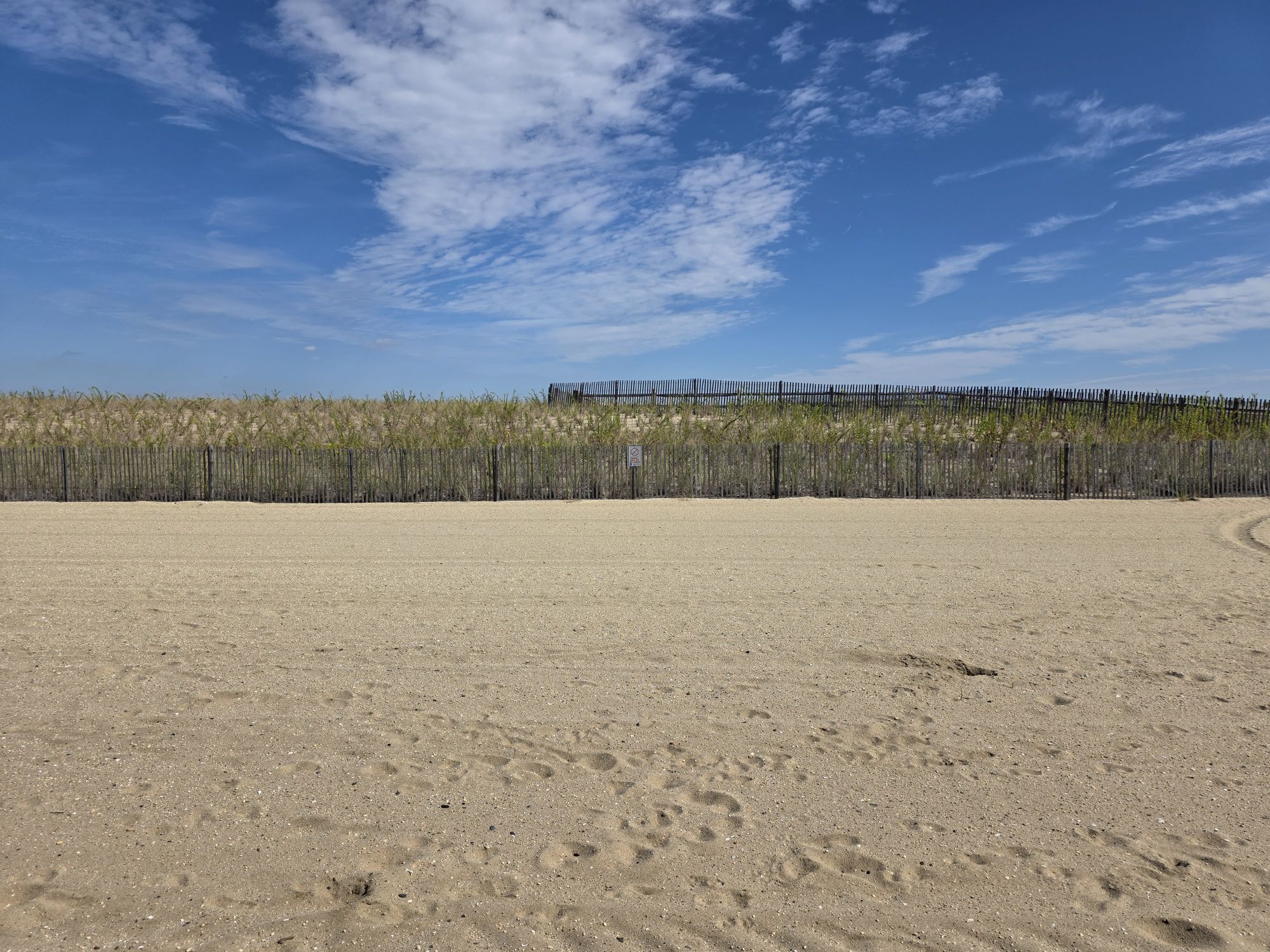 Samsung Galaxy S25 Ultra daytime sample.