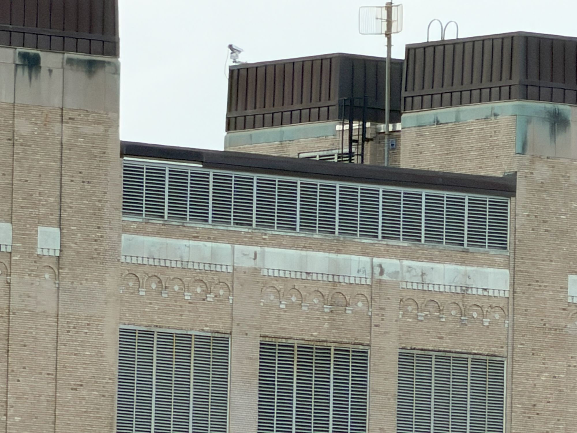 Apple iPhone 17 Pro Max zoom sample.