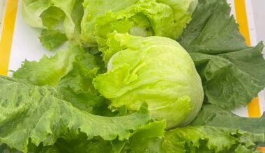 When Lettuce becomes a treasure