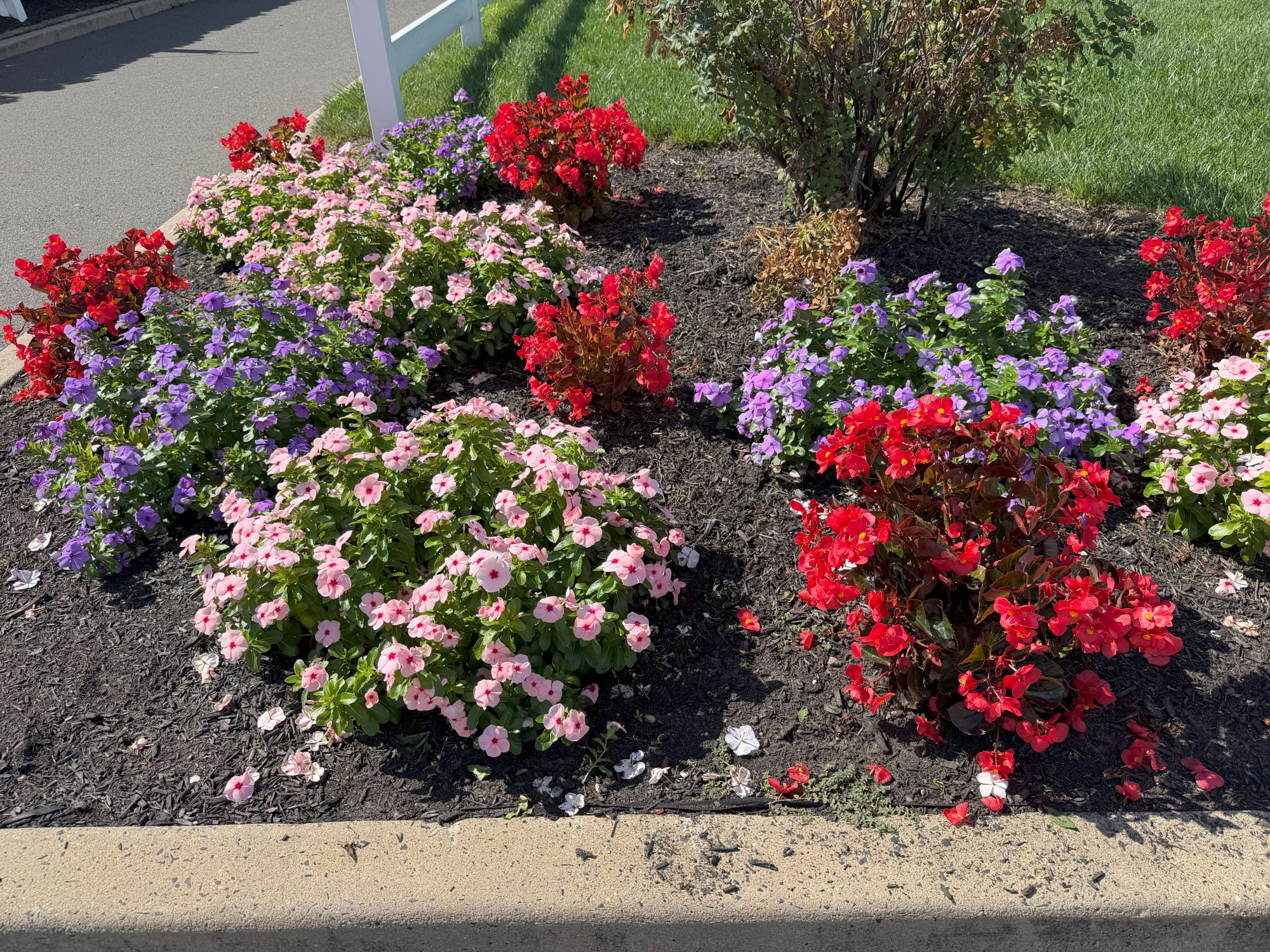 Apple iPhone 17 Pro Max colors sample.