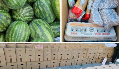 Chamah to Distribute Food in Crown Heights