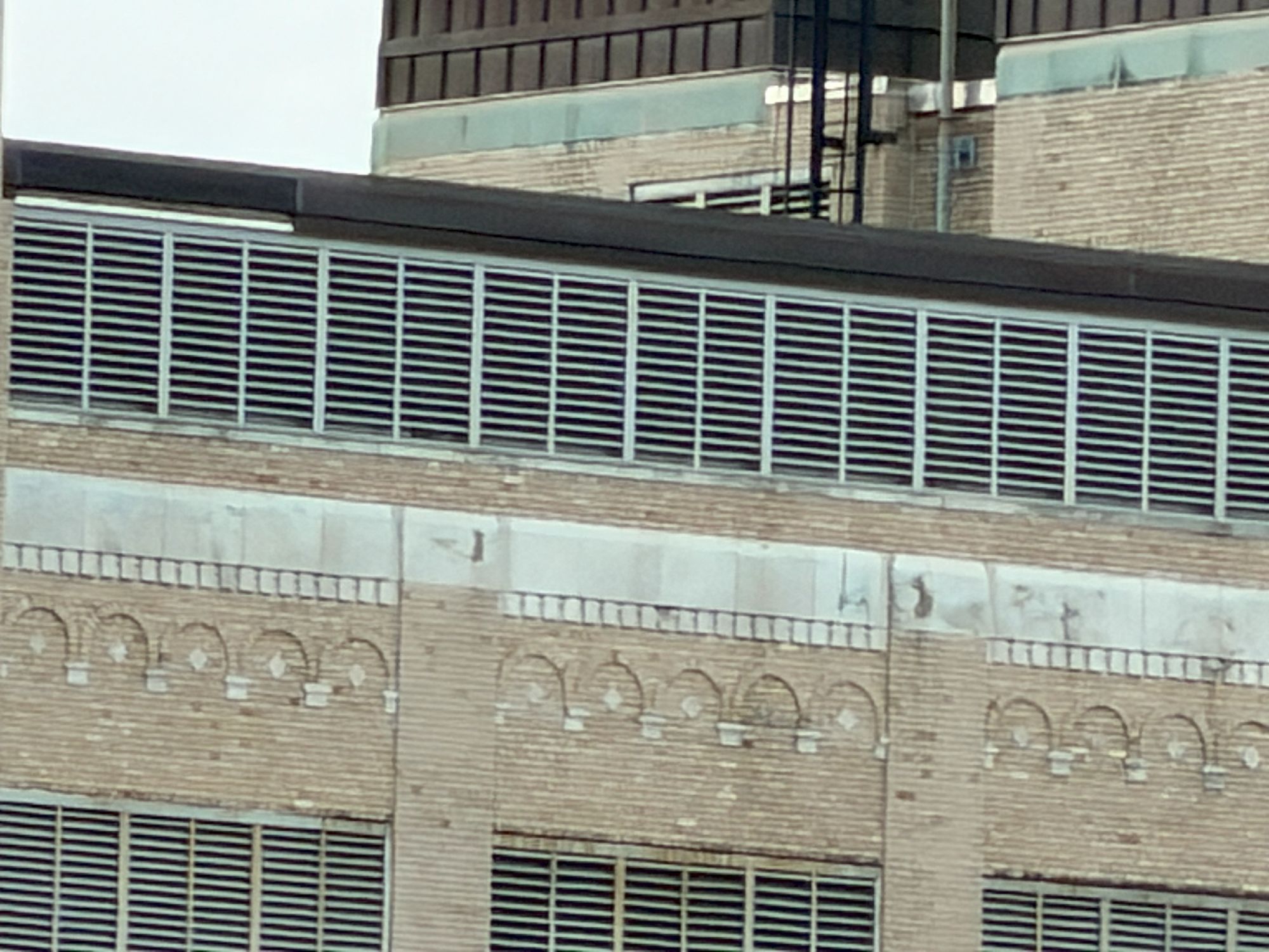 Apple iPhone 17 Pro Max zoom sample.