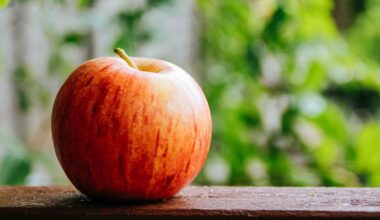 Is An Apple a Day Actually Healthy? A Dietitian Weighs In