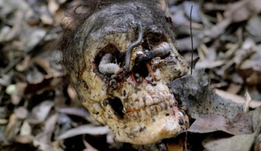 'Cannibal Holocaust' 4K Restoration to Premiere This Weekend at Beyond Fest