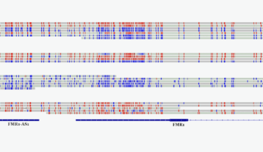 Long-read sequencing unearths overlooked autism-linked variants