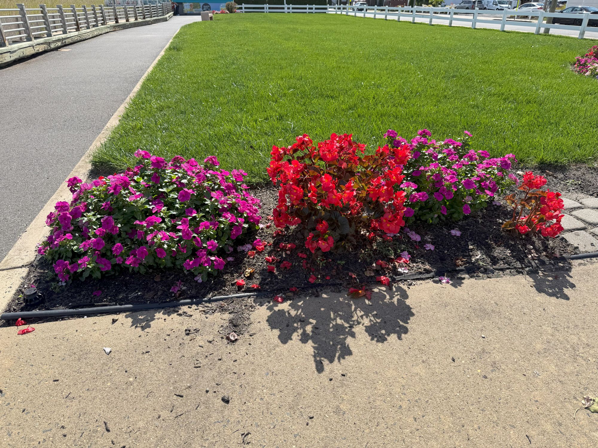 Apple iPhone 17 Pro Max colors sample.