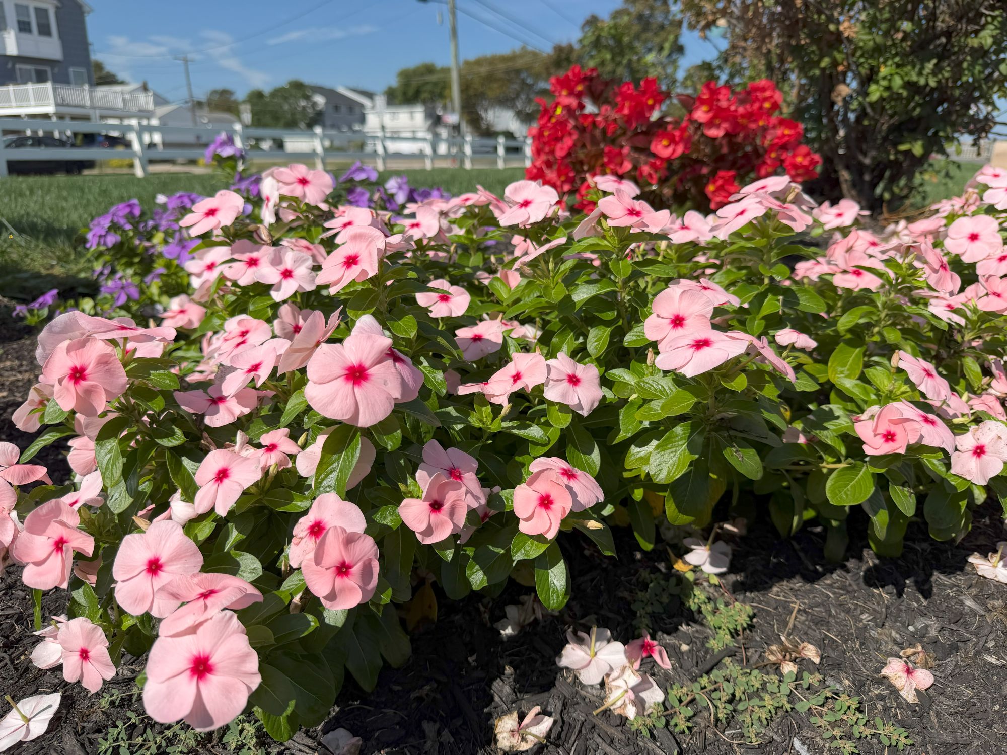 Apple iPhone 17 Pro Max colors sample.