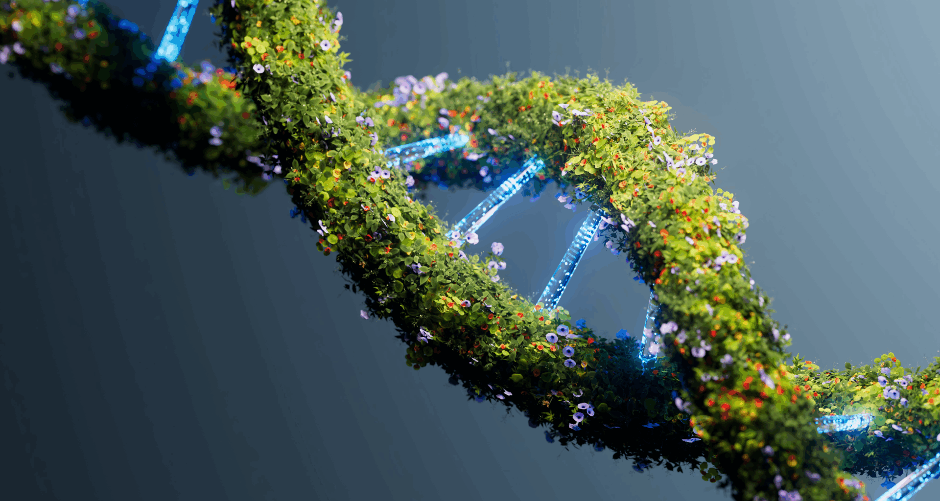 a double-helix of DNA is studded with colorful flowers and leaves