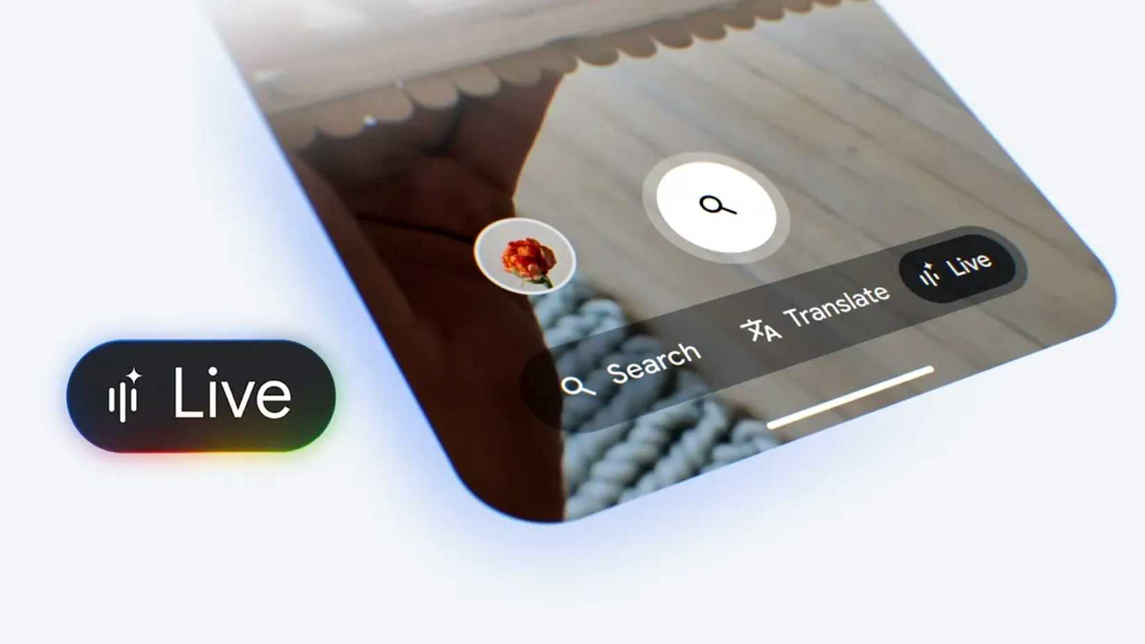 Googles search live that shows translate search and live.