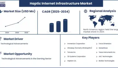 Haptic Internet Infrastructure Market Revenue Statistics