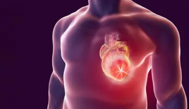 What happens to your body when you eat too many ultra-processed foods