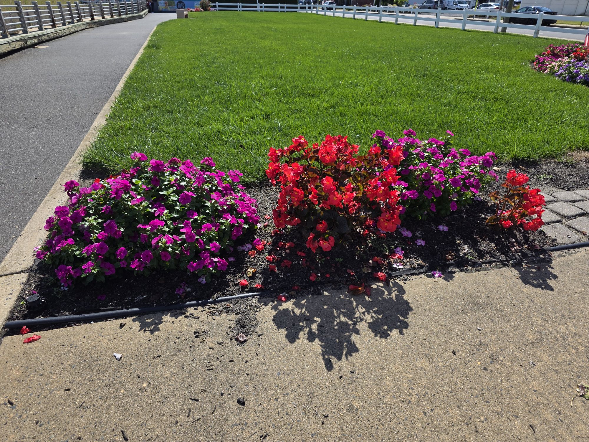 Samsung Galaxy S25 Ultra colors sample.