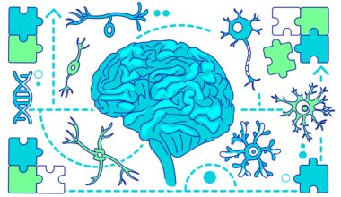 Brain with neurons and puzzle pieces