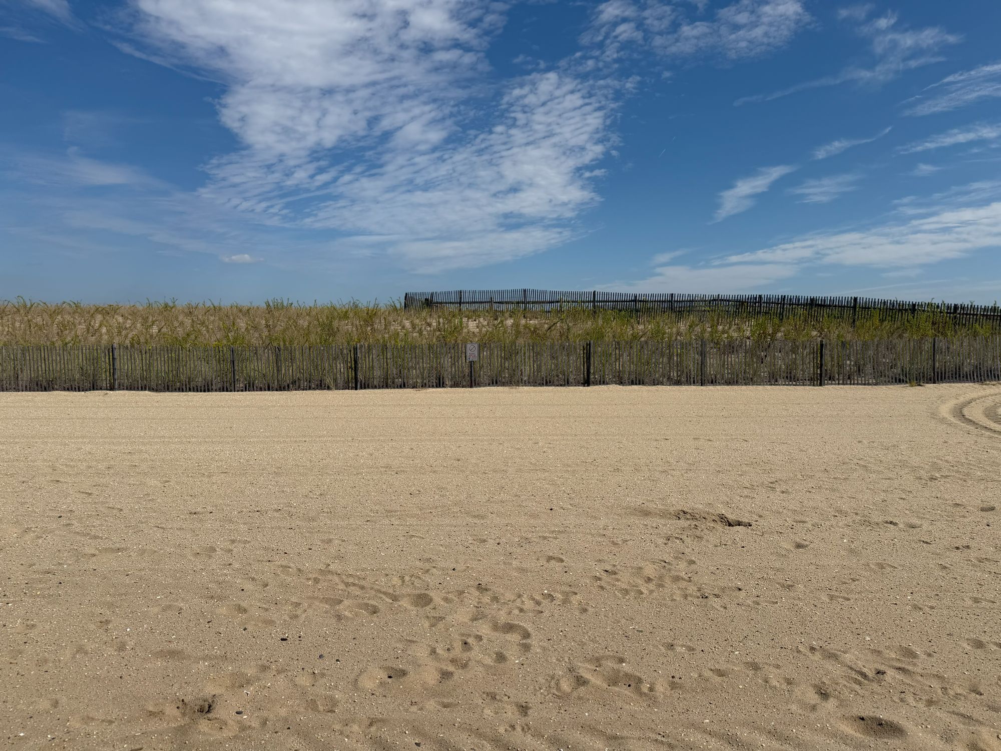 Apple iPhone 17 Pro Max daytime sample.