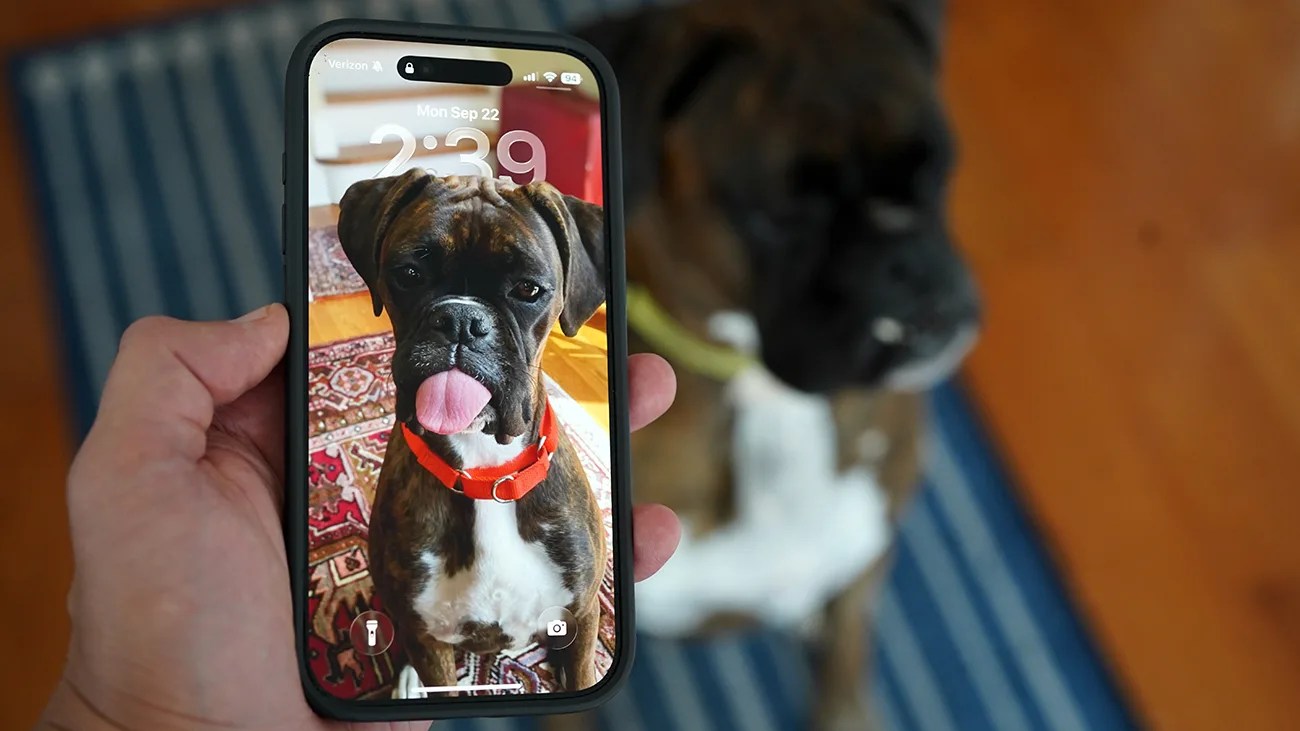 A hand holding a smartphone displaying a photo of a brindle boxer dog with a white chest and an orange collar, sticking its tongue out. The actual dog is in the background, sitting on a blue-striped rug on a wooden floor.