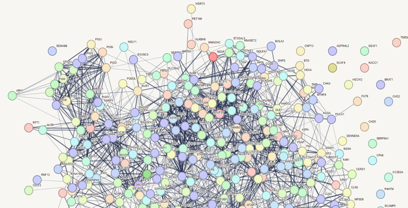 Kini Group Image.png Kini Group Image.png