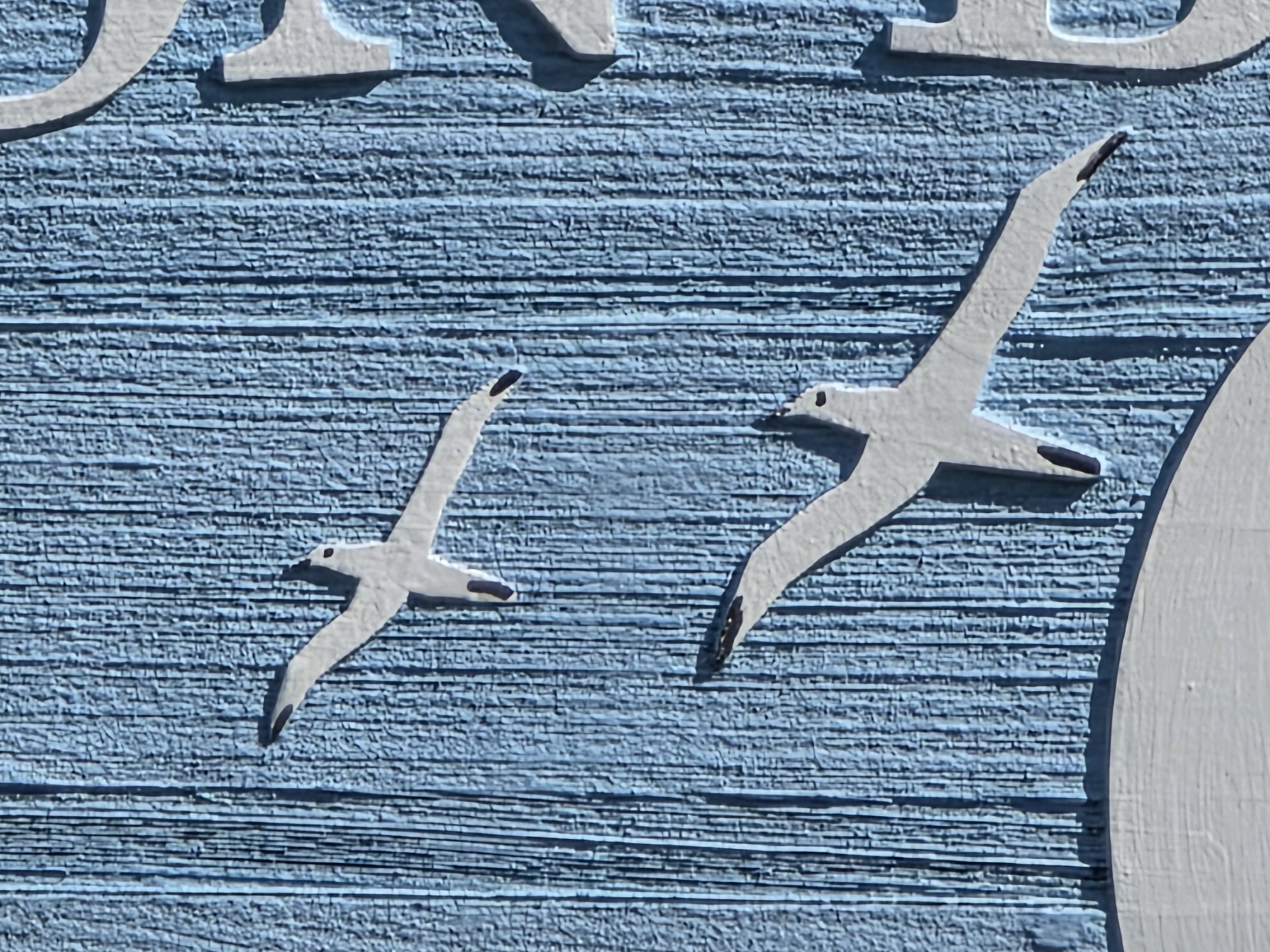 Samsung Galaxy S25 Ultra zoom sample.