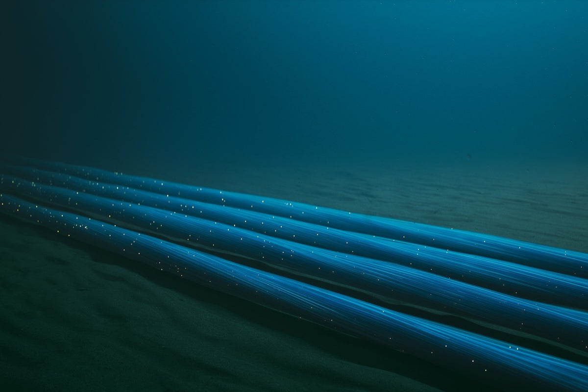 Internet disrupted across Asia and Middle East after Red Sea cable cuts