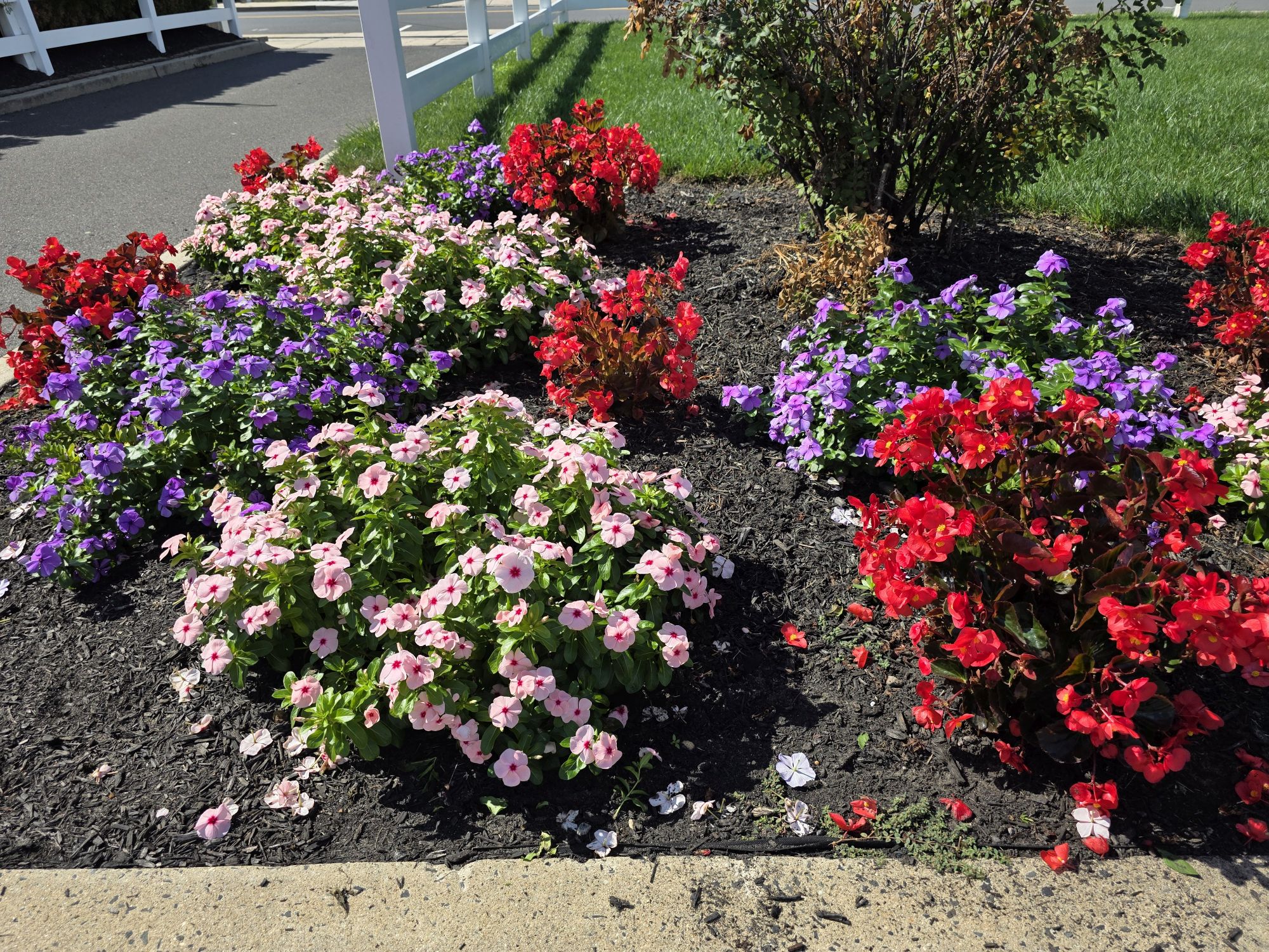 Samsung Galaxy S25 Ultra colors sample.