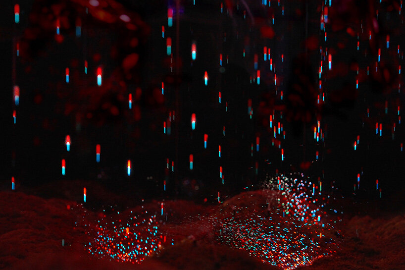 teamLab's permanent museum opens in kyoto, october 2025, showcasing 50+ artworks