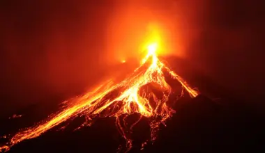 A volcano erased an island’s plants. Their DNA revealed how life starts over