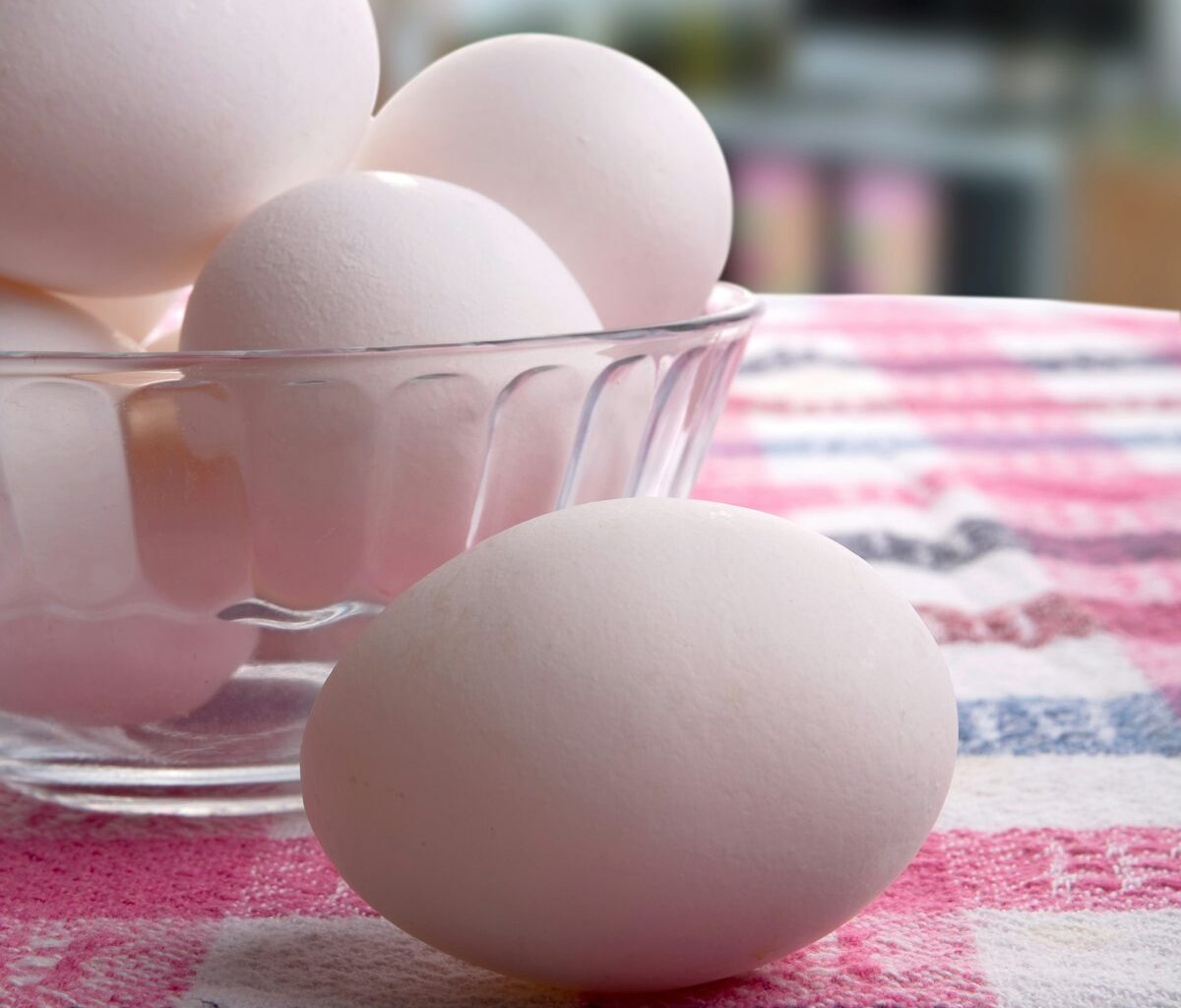Global egg market to grow by 22% over next decade