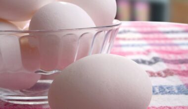 Global egg market to grow by 22% over next decade