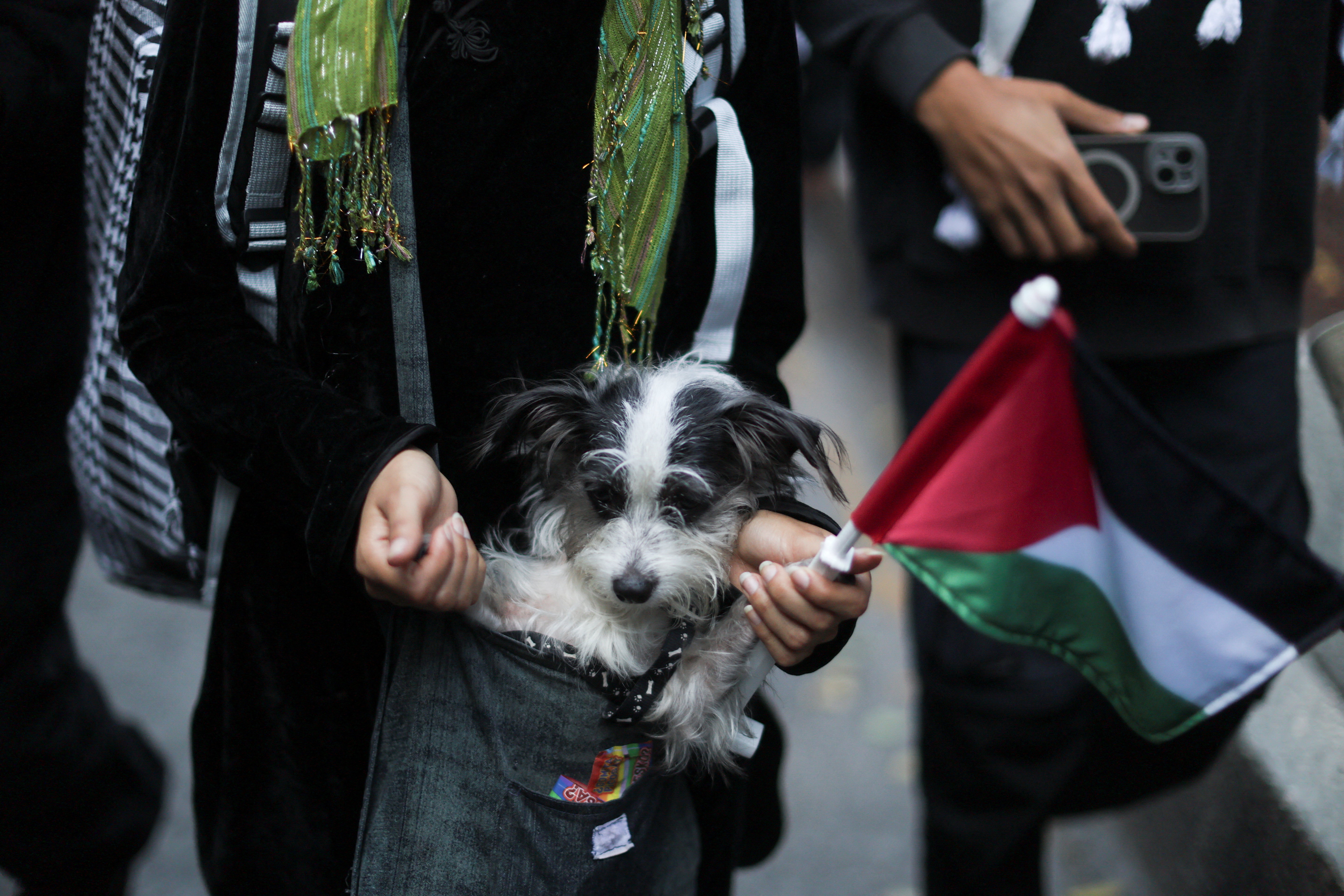 Pro-Palestinian protest in Mexico City