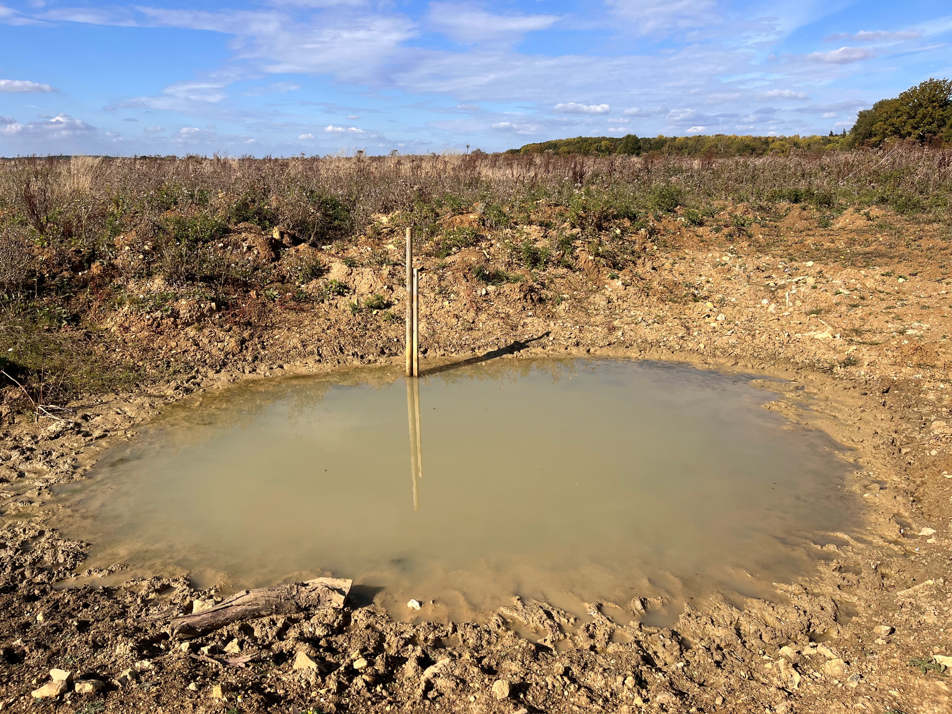 Long-vanished “ghost ponds” have been reinstated, with protected great crested newts already detected using them