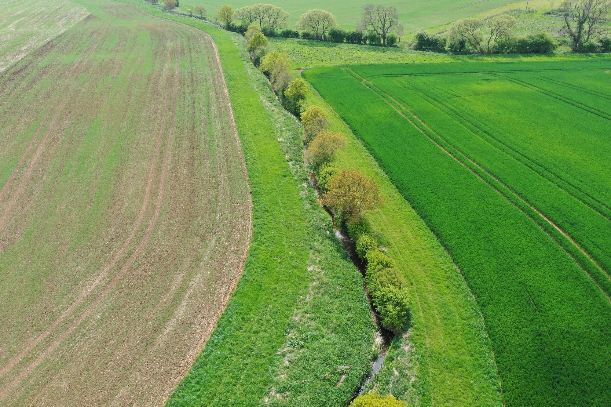 A river running between two fields at the Boothby Wildland project in Lincolnshire