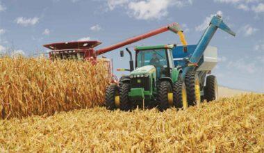 Sideways Grain Markets May Signal a Big Move Ahead