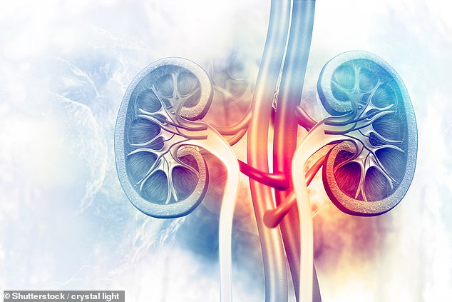 One of the fastest-rising cancers in Britain and the US¿particularly among under 50s¿kidney cancer is often dubbed a 'silent killer' because it rarely causes symptoms until it is advanced