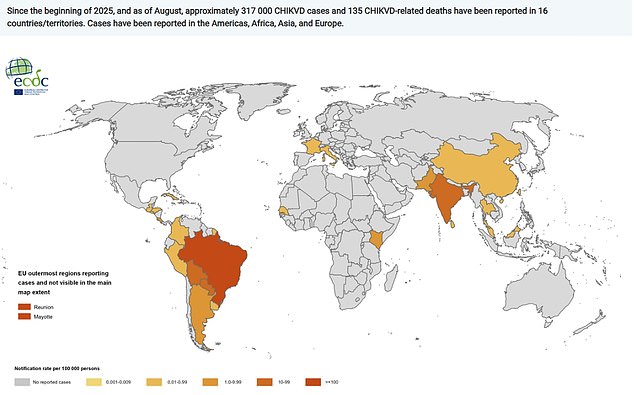 The above map shows the 12-month chikungunya virus case notification rate per 100,000 people from September 2024 to August 2025