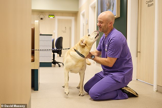 Dr David Massey, a veterinary surgeon from Leeds, says the veterinary profession struggles to retain talent