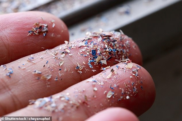 Experts today, who labelled the findings 'significant', said it was the first human study showing microplastics may alter the human gut microbiome